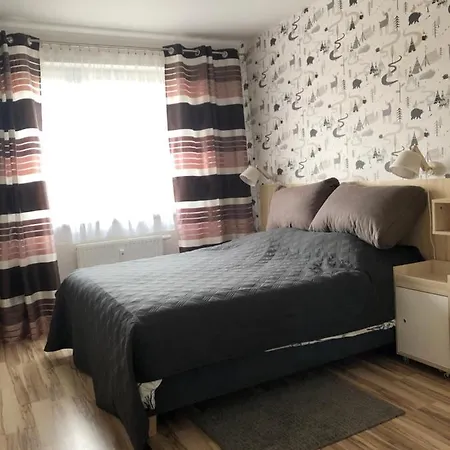 Mieszkanie U Anety Na Krotkiej *